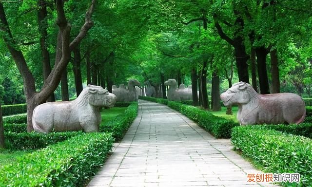 南京旅游十大必看景点攻略