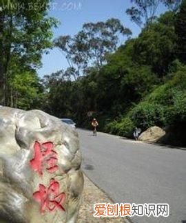 厦门怪坡在哪里,厦门哪个公园可以免费爬山