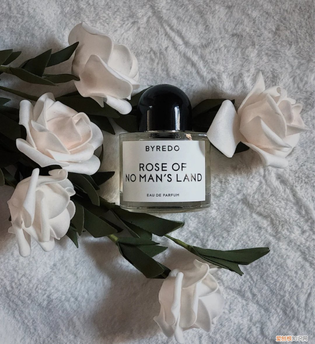 gucci香水多少钱一瓶