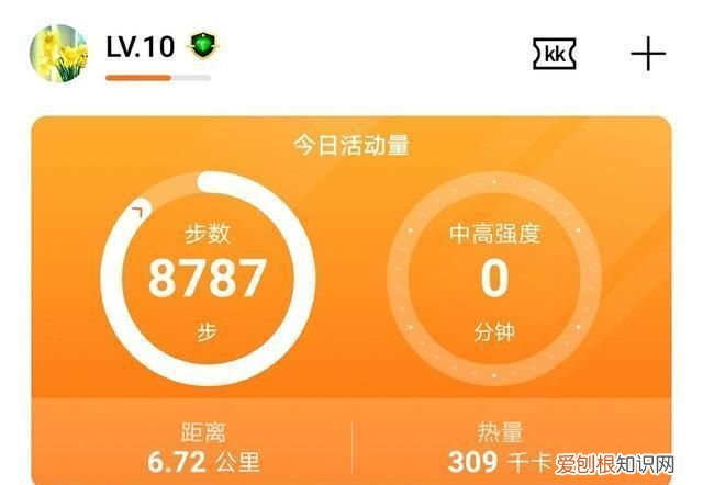 1万步30天能瘦多少斤,一天走两万步消耗多少卡