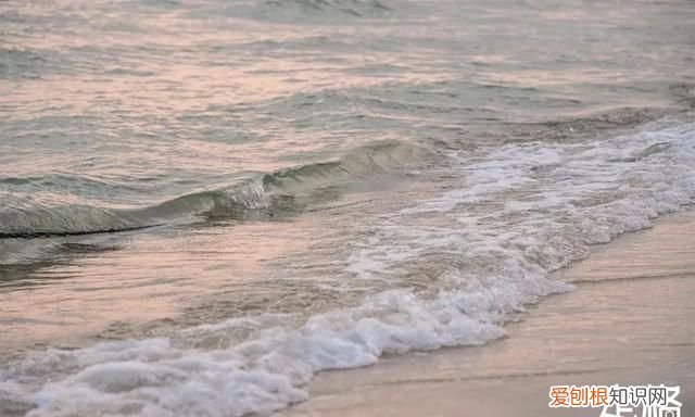 深圳10个海边沙滩超好玩