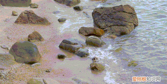 深圳10个海边沙滩超好玩