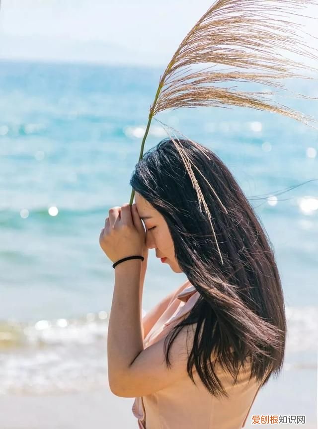 深圳10个海边沙滩超好玩