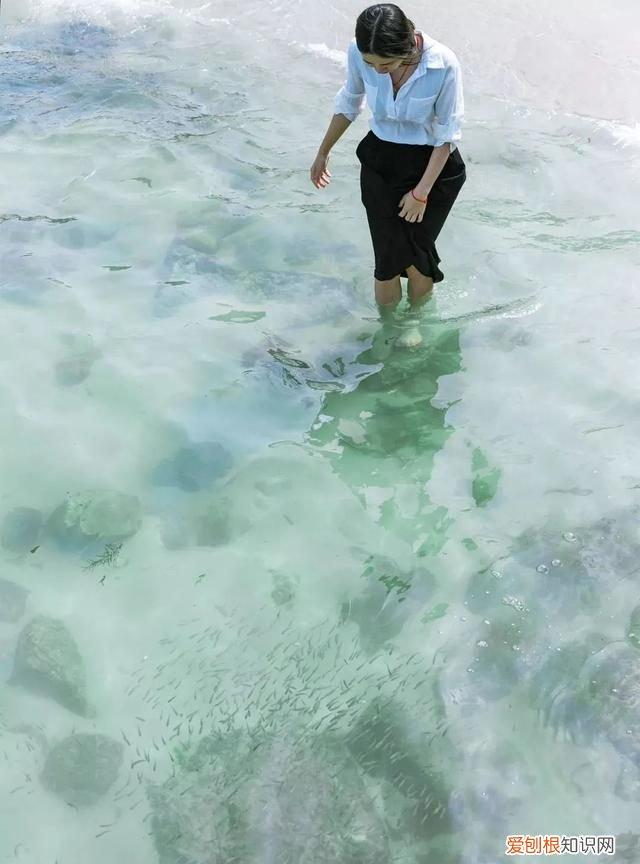 深圳10个海边沙滩超好玩