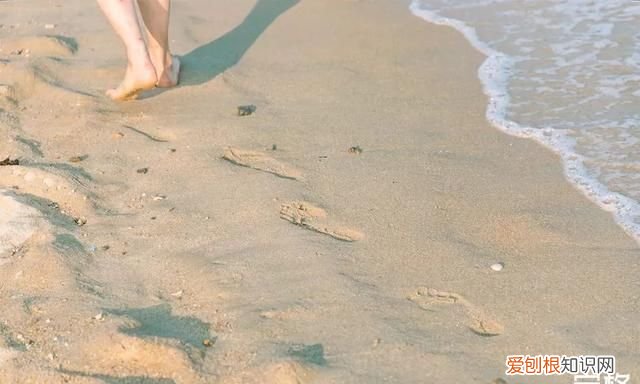 深圳10个海边沙滩超好玩