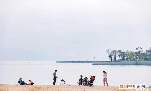 深圳10个海边沙滩超好玩