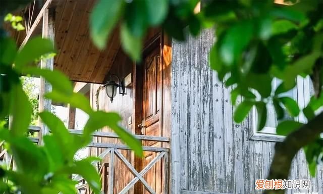 深圳10个海边沙滩超好玩