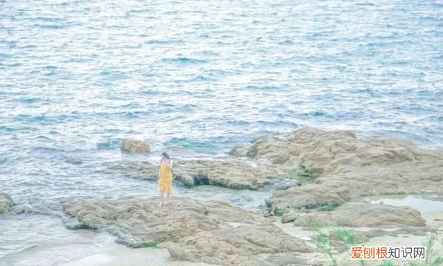 深圳10个海边沙滩超好玩