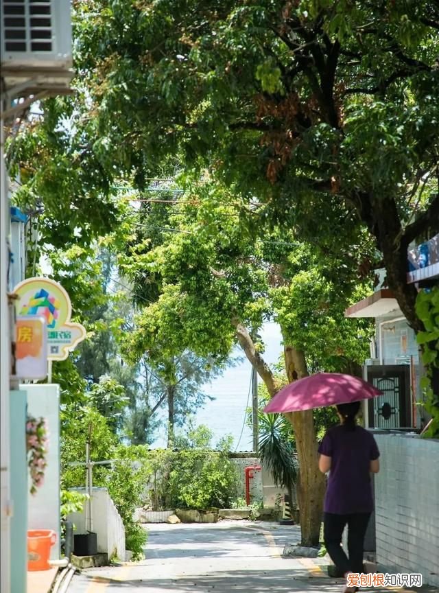 深圳10个海边沙滩超好玩