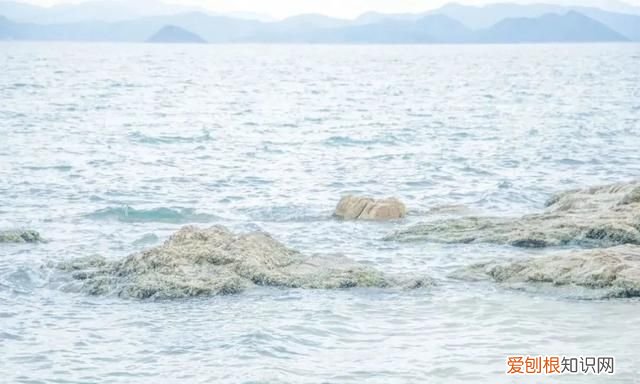 深圳10个海边沙滩超好玩