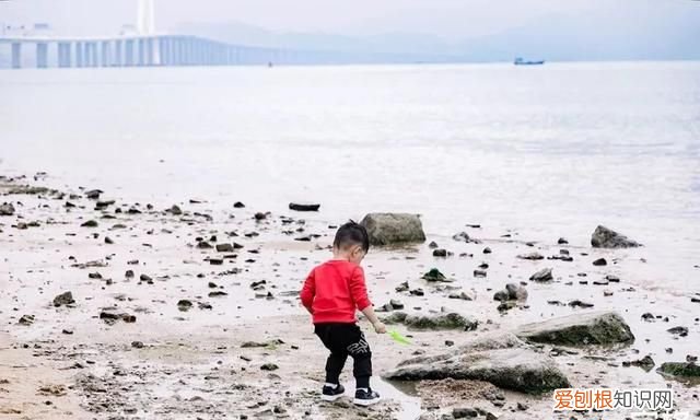 深圳10个海边沙滩超好玩