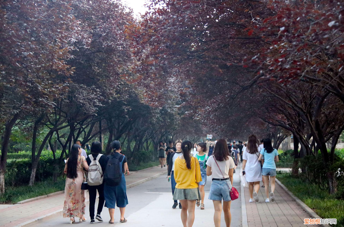 上理工惊爆一男生在女生浴室安装十个摄像头，校方回应：必须严肃处理！