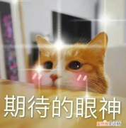 健康码，核酸报告…..来回切换太麻烦？江苏苏康码实现一屏多码！真的太方便了