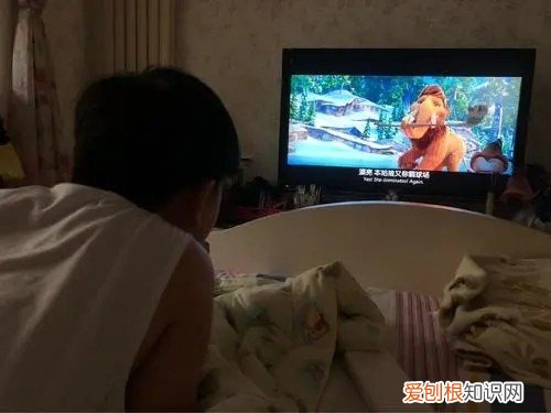 夏普32寸液晶电视怎么样