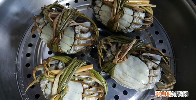 蒸大闸蟹正确方法蒸几分钟可以吃