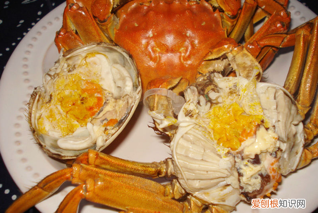 蒸大闸蟹正确方法蒸几分钟可以吃
