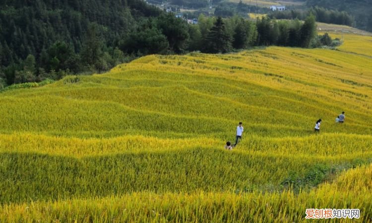 十月一去哪里旅游好玩