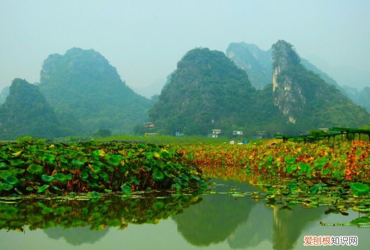 十月一去哪里旅游好玩