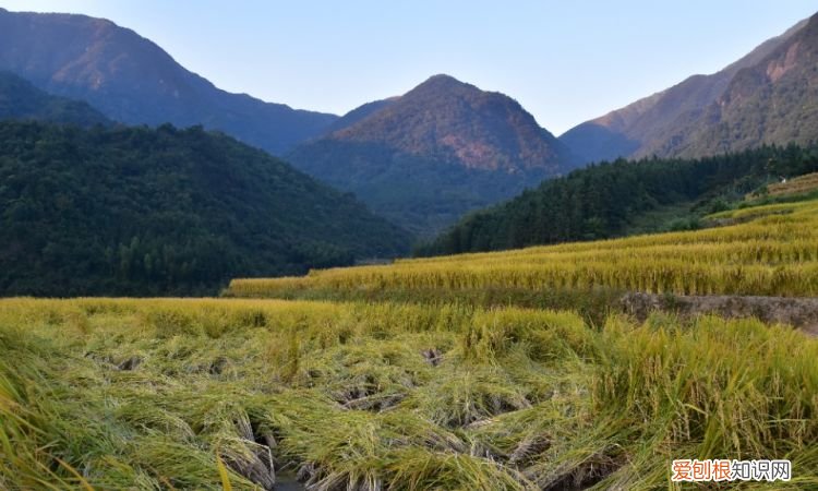 十月一去哪里旅游好玩