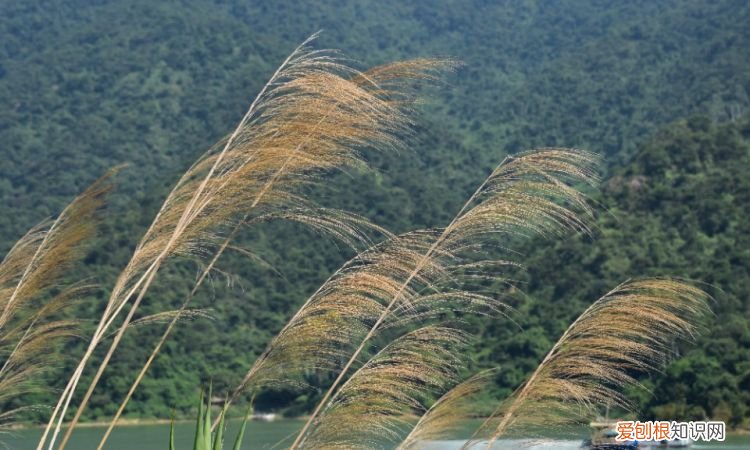 十月一去哪里旅游好玩