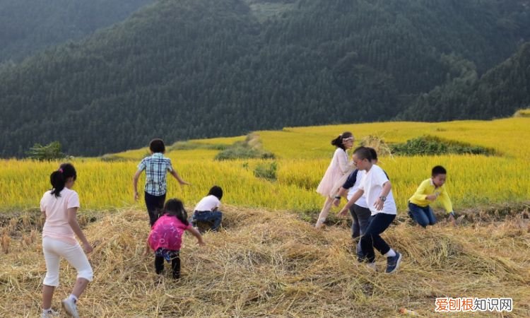 十月一去哪里旅游好玩