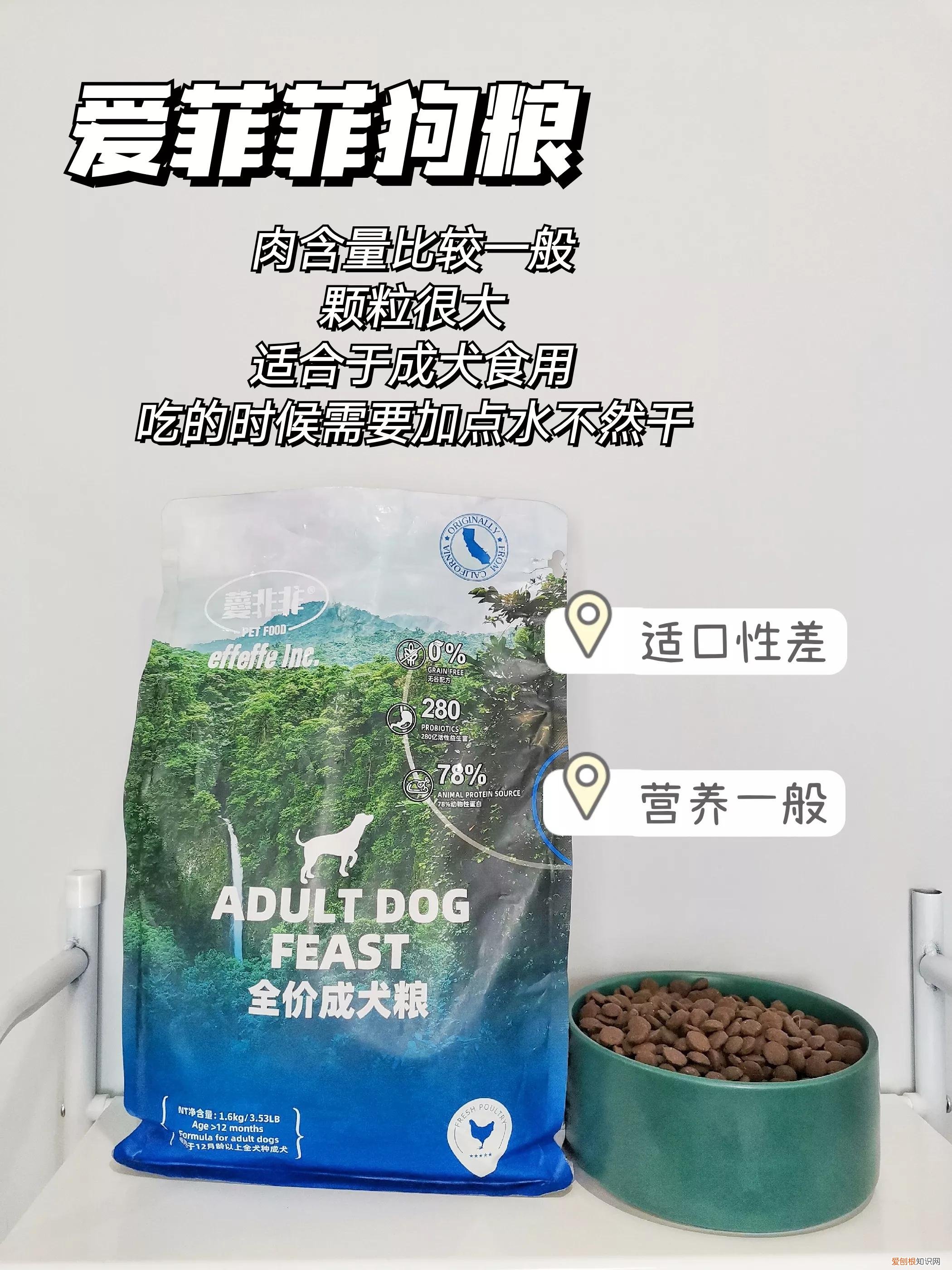 菲菲的狗粮哪里买