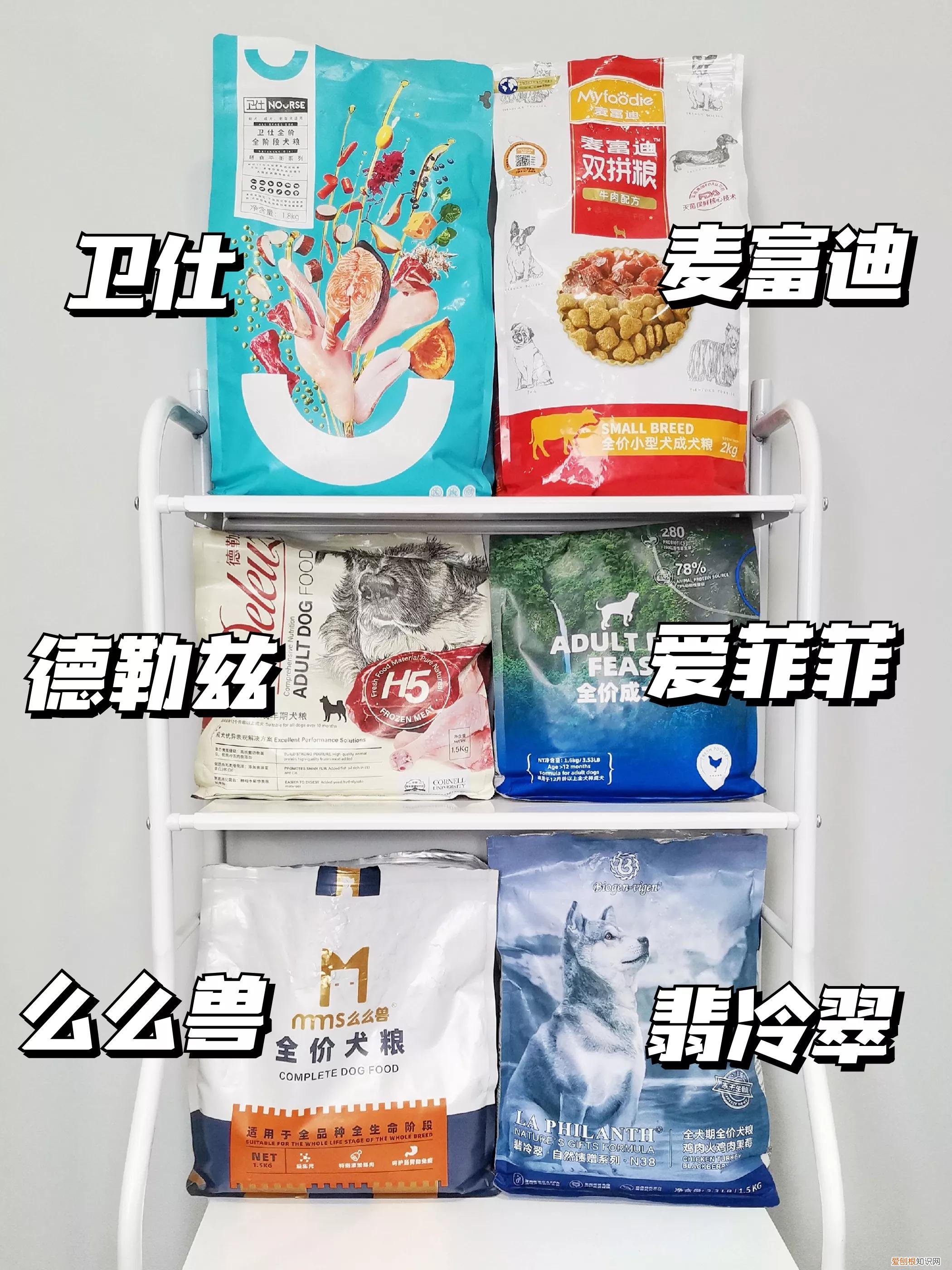 菲菲的狗粮哪里买