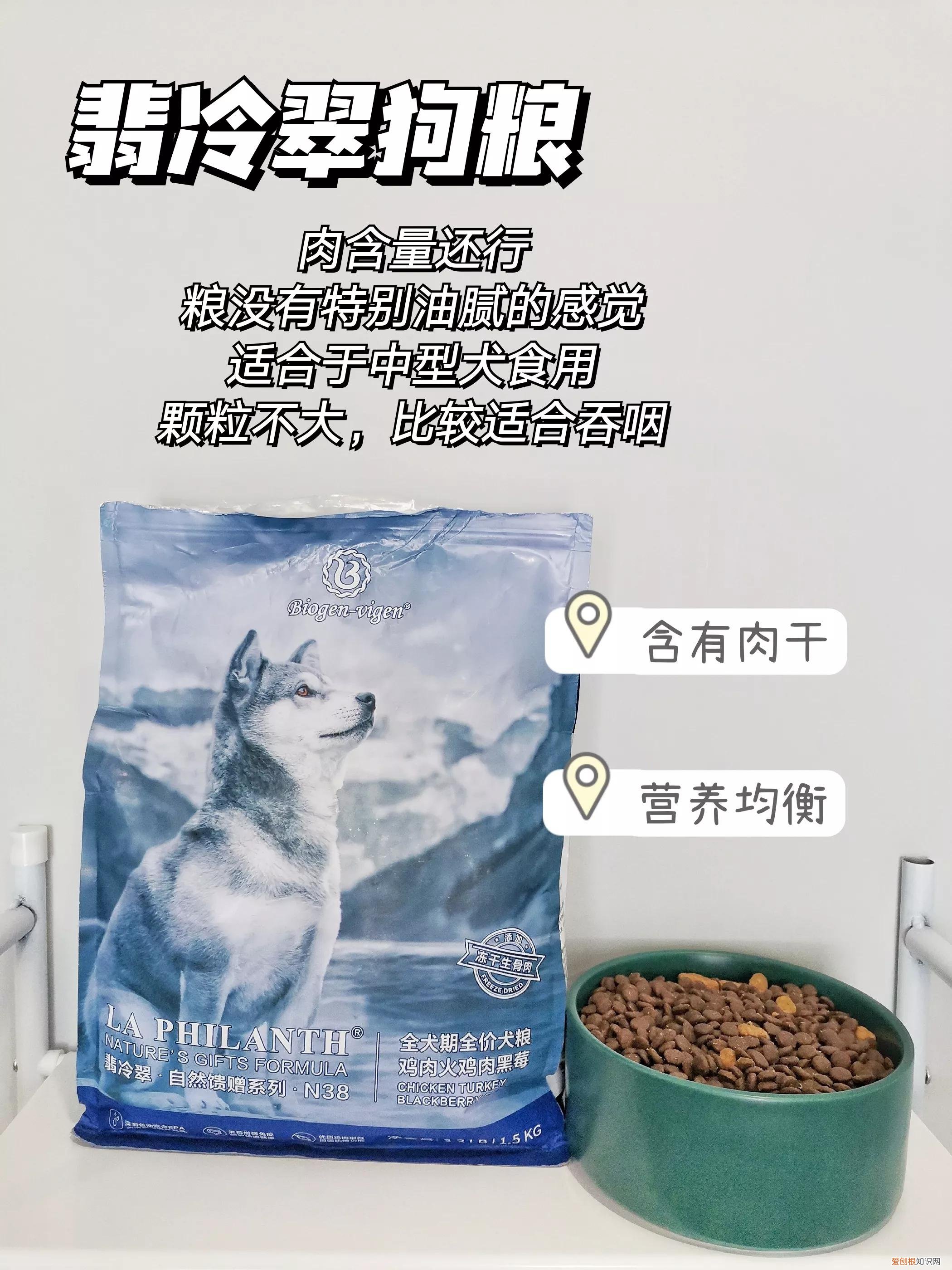 菲菲的狗粮哪里买