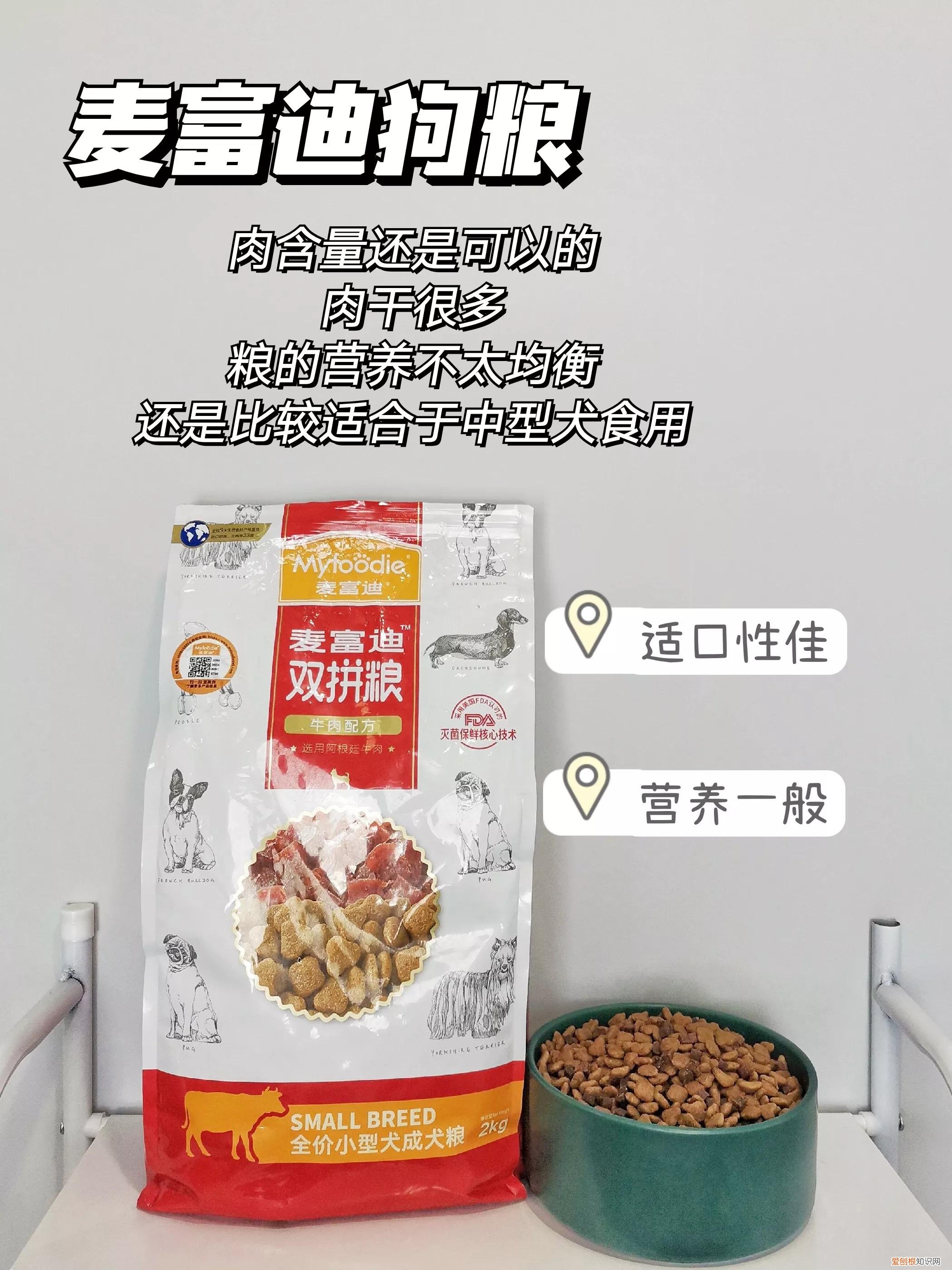 菲菲的狗粮哪里买