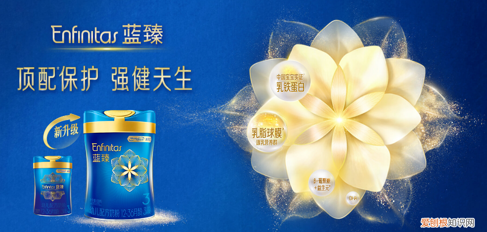 美赞臣蓝臻奶粉怎么样