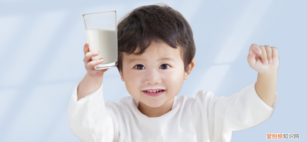 美赞臣蓝臻奶粉怎么样