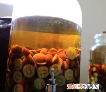 水果泡酒保质期多久
