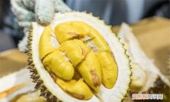 榴莲壳可以做饲料，榴莲壳属于厨余垃圾吗