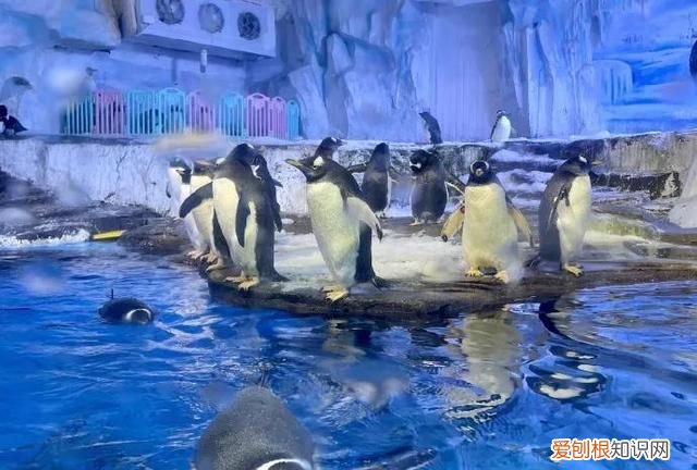 青岛游玩必去打卡的9个热门景点,你知道几个吗