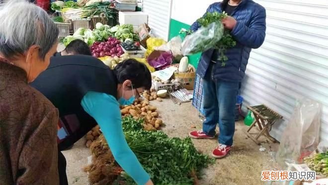 商店蔬菜保鲜方法，菜贩子蔬菜如何保鲜