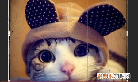 PS咋滴才能截图,photoshop里全屏截图的快捷键是什么