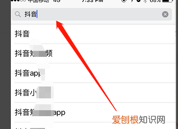 苹果手机咋滴才能下抖音,苹果手机怎么抖音充值抖币