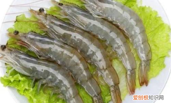 开背虾的家常做法，蒜蓉大虾开背的做法