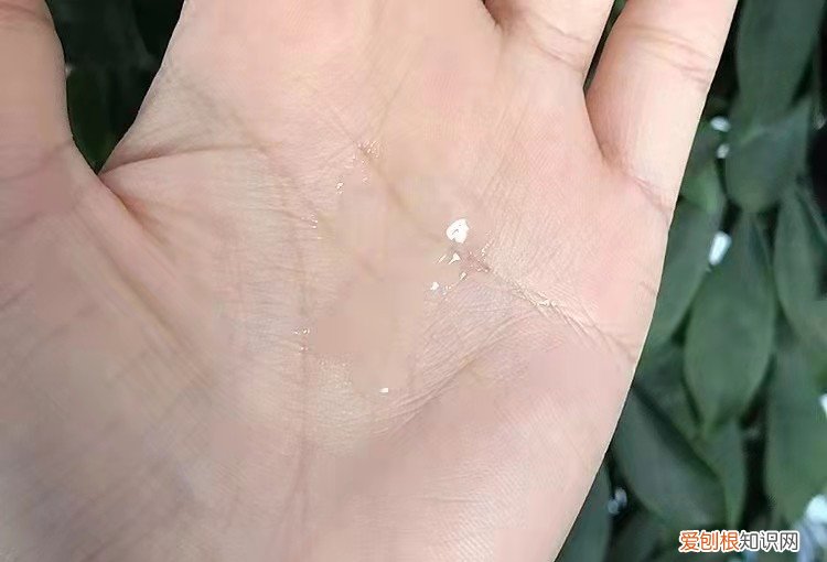 化妆水推荐，高性价比有哪些？评测百款总结