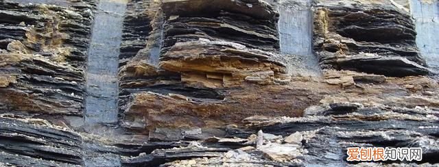 页岩是一种什么盐