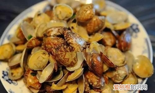 卖海鲜都卖啥,花蛤属于海鲜还是河鲜