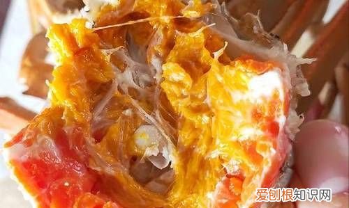 螃蟹拿回来怎么保存不会死