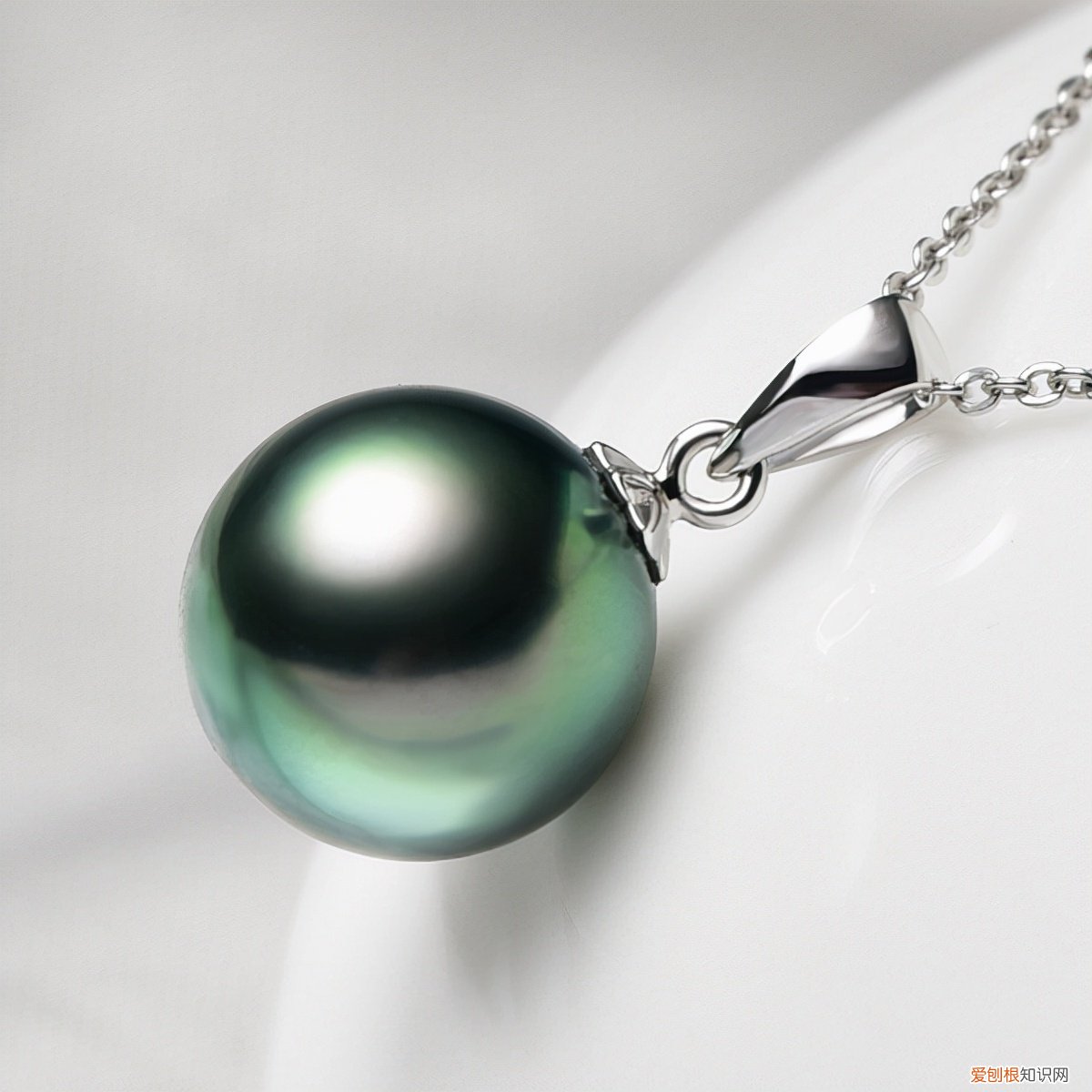 黑珍珠价格一般多少钱一颗