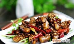 蝉怎么炒好吃，蝉怎么烧好吃又嫩