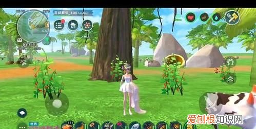 创造与魔法辣椒位置图,创造与魔法中辣椒和鲍鱼如何获得