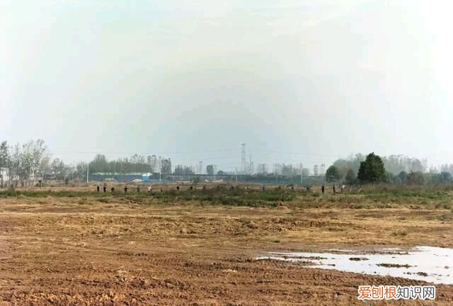 河南南阳的高校名单