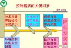 养猪技术与猪病防治