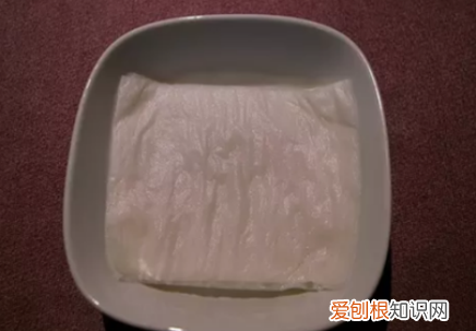 猫草怎么种比较好,猫草怎么种植方法每天都要浇水