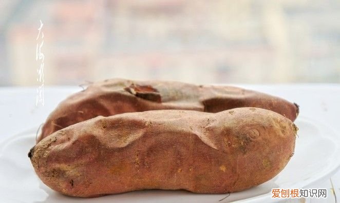 空气炸锅之烤地瓜如何做