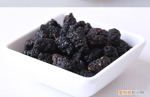 桑葚直接插枝到营养土里能成活吗 桑葚的可以吃吗